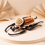 CUPUZ 3D Paper Puzzle Beetle – DIY Insect Model, Educational Toy & Creative Gift